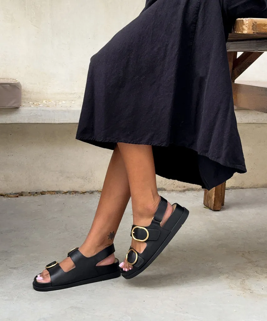 STARLA SANDALS BLACK LEATHER^Dolce Vita New